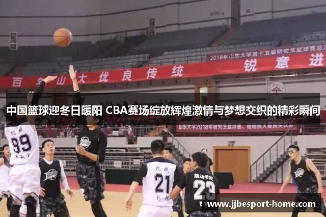 中国篮球迎冬日暖阳 CBA赛场绽放辉煌激情与梦想交织的精彩瞬间