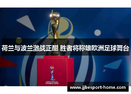 荷兰与波兰激战正酣 胜者将称雄欧洲足球舞台