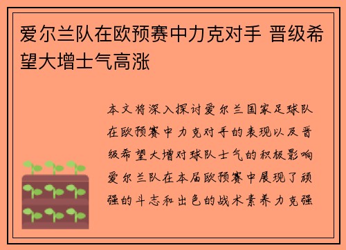 爱尔兰队在欧预赛中力克对手 晋级希望大增士气高涨