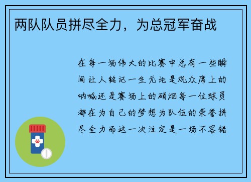 两队队员拼尽全力，为总冠军奋战