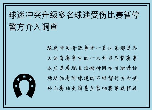 球迷冲突升级多名球迷受伤比赛暂停警方介入调查